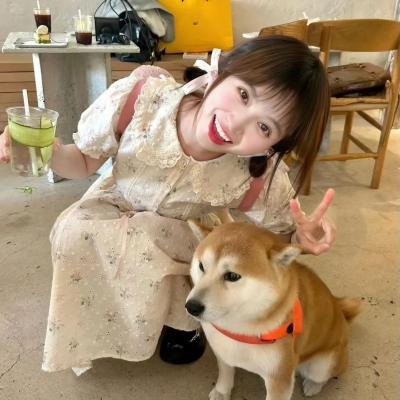 推理之绊